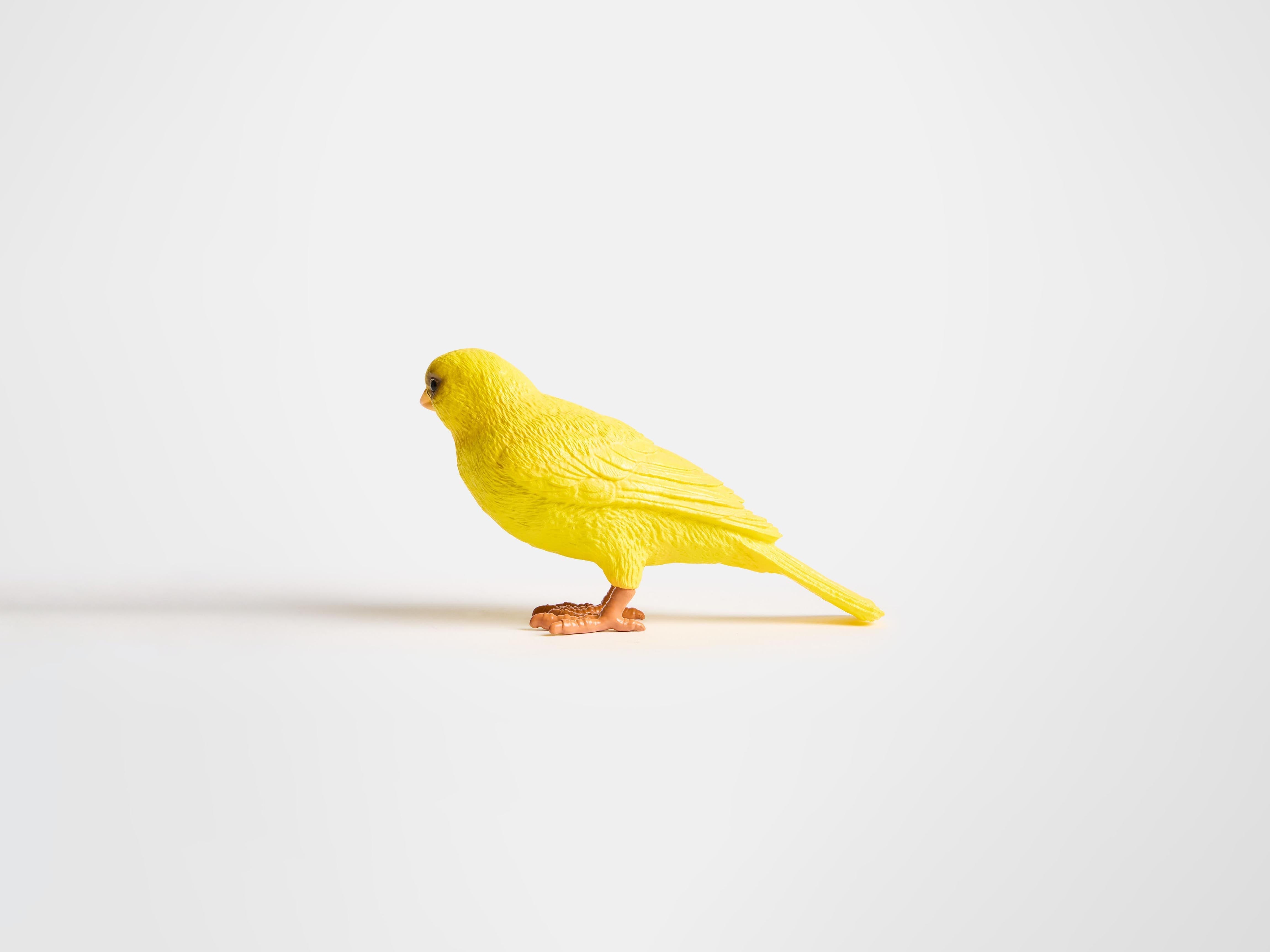 J.W.Anderson Canary Clutch Gelb Resin 3D