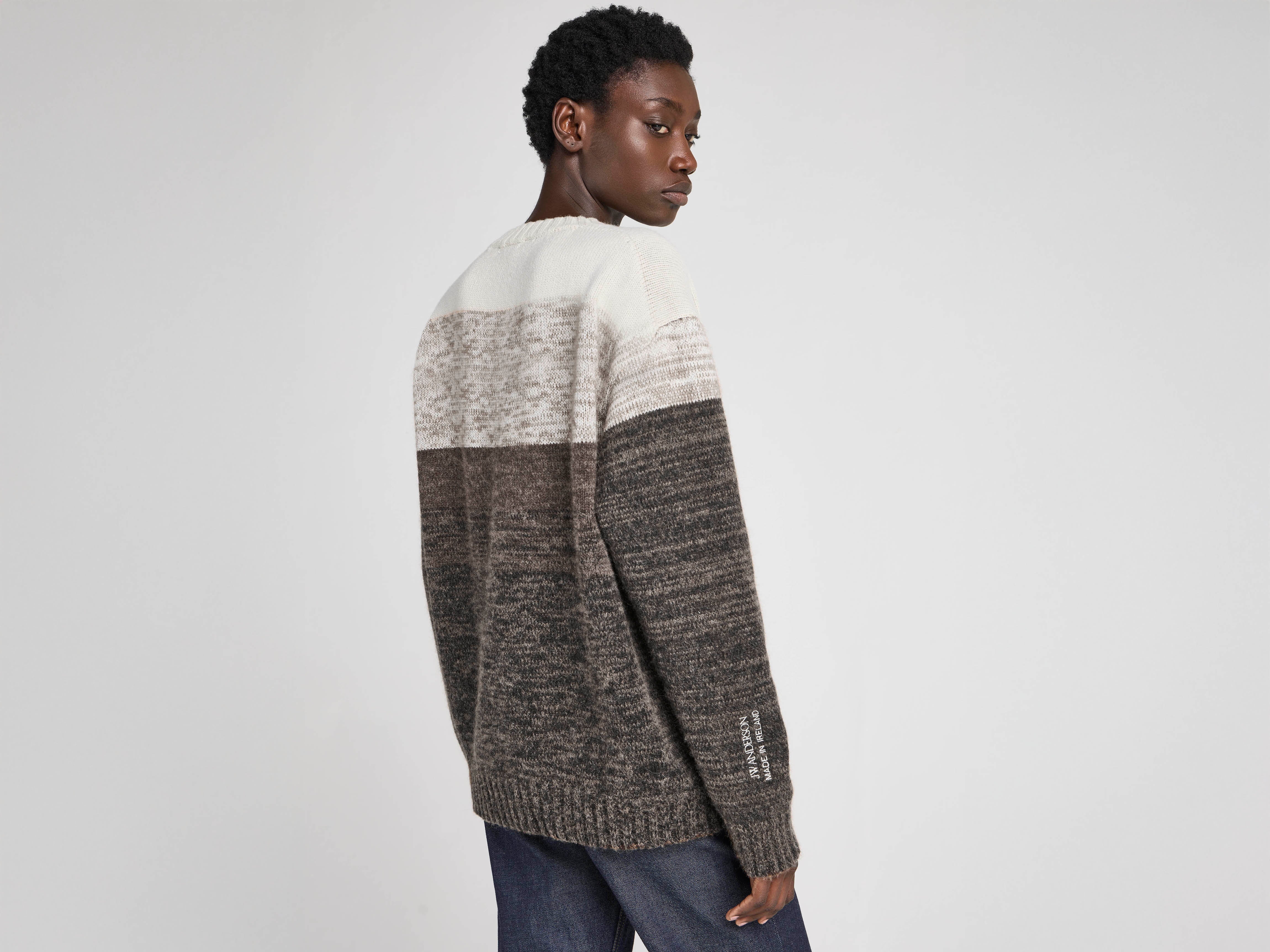 JW Anderson Guinness Surging Gradient Jumper Braun