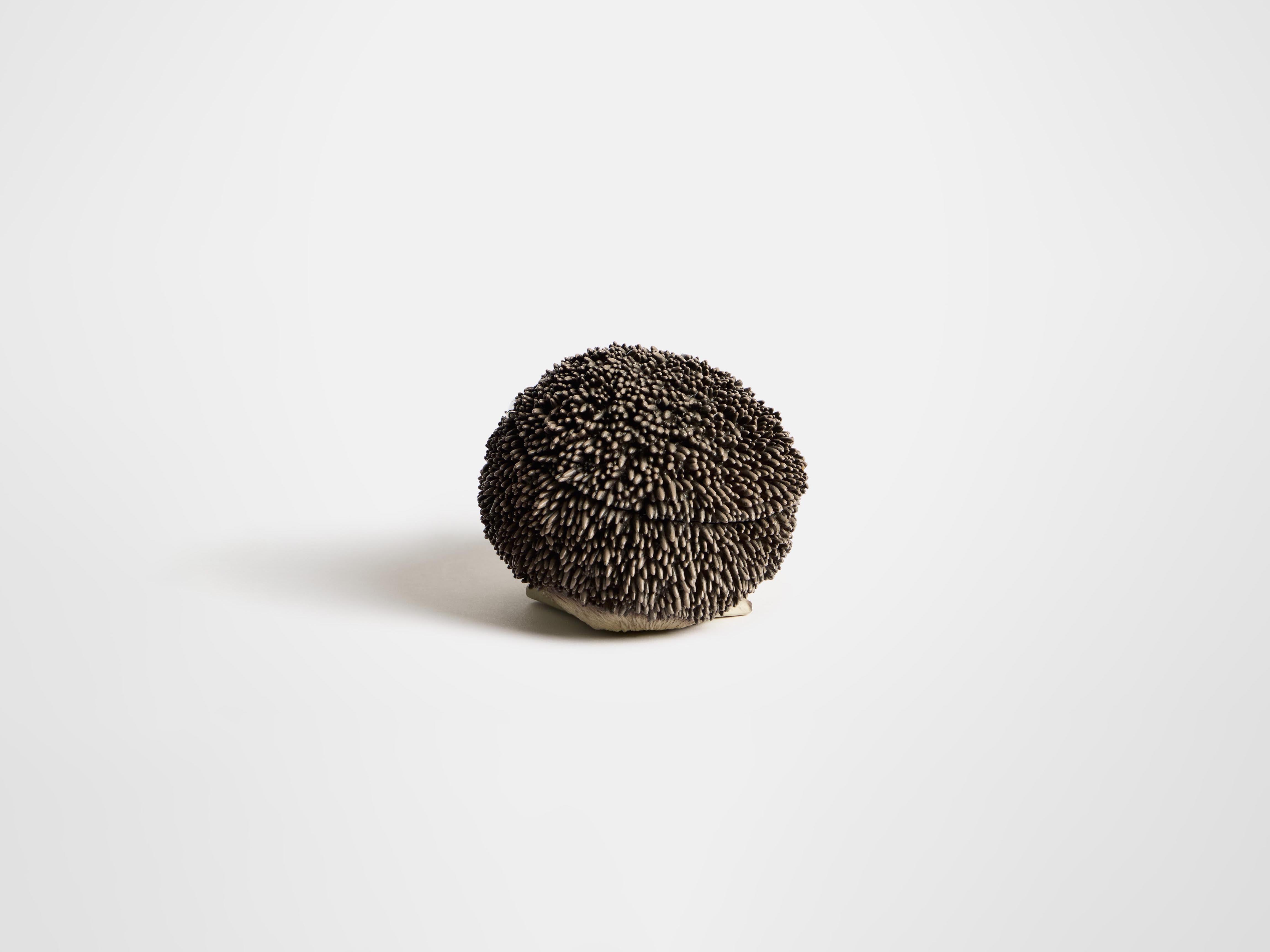 J.W.Anderson Hedgehog Clutch Tasche Braun 3D Harz
