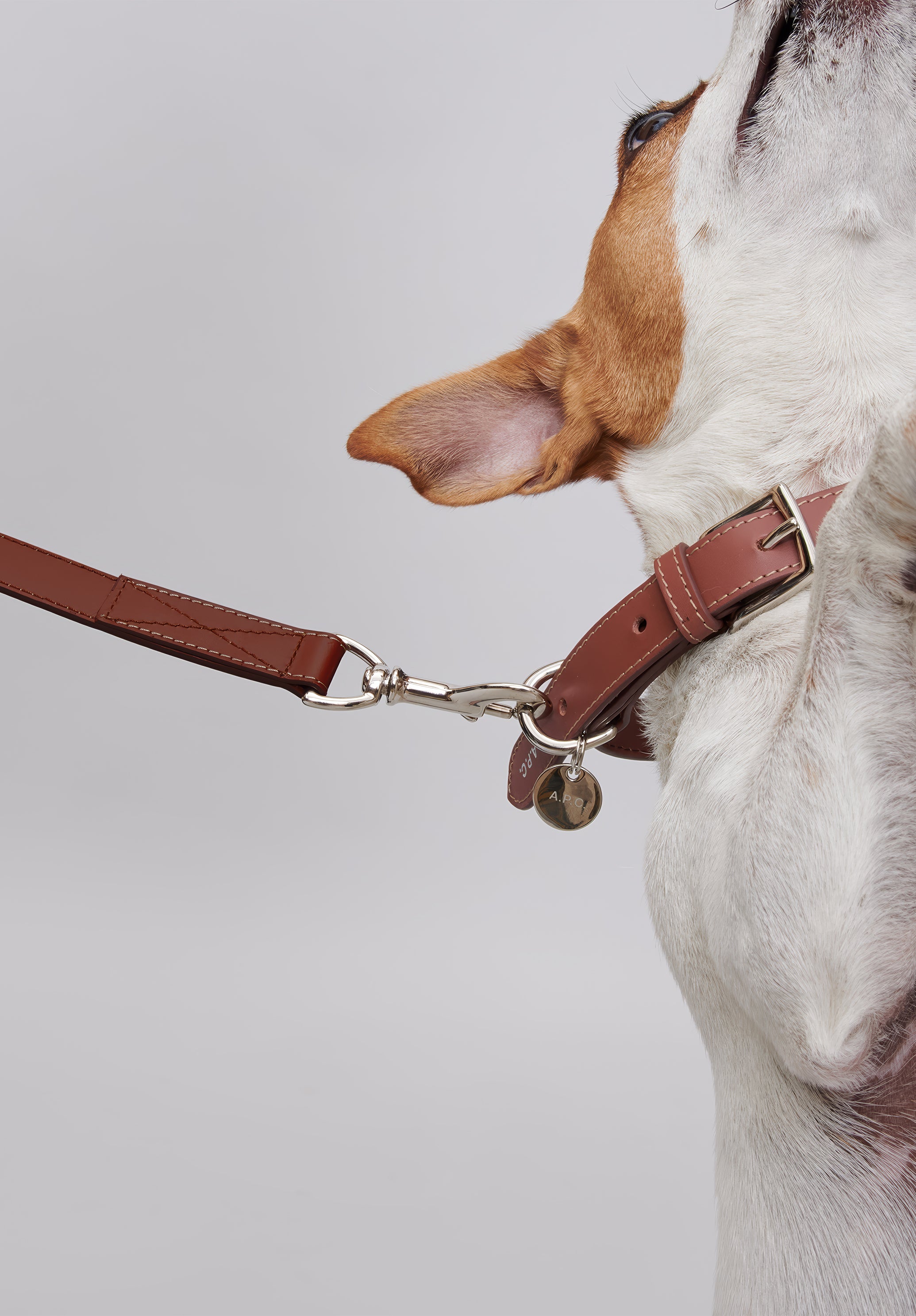 A.P.C. Toutou Hundehalsband Leder braun T1 verstellbar