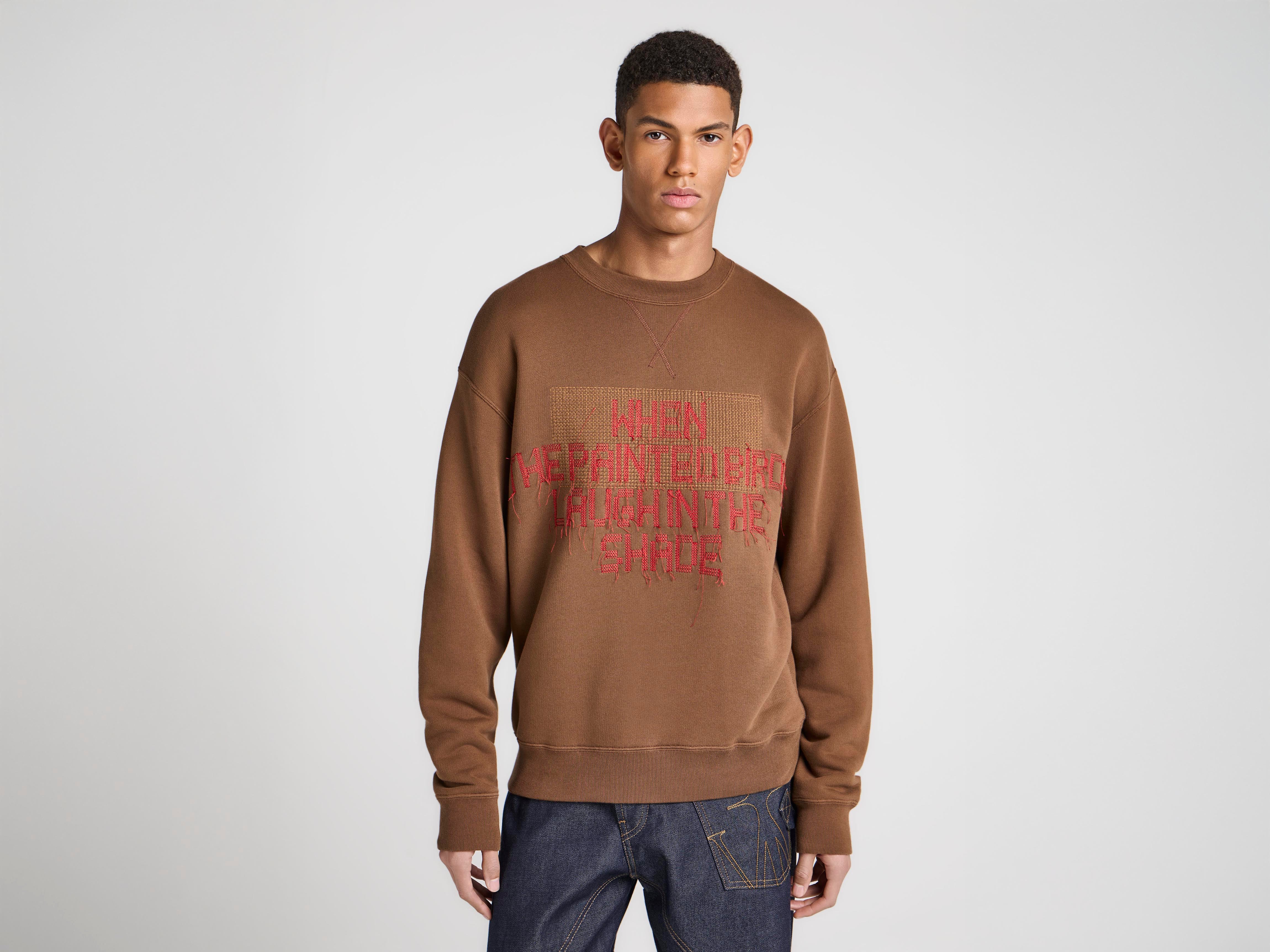 J.W.Anderson Hoodies Painted Birds Sweatshirt Walnuss