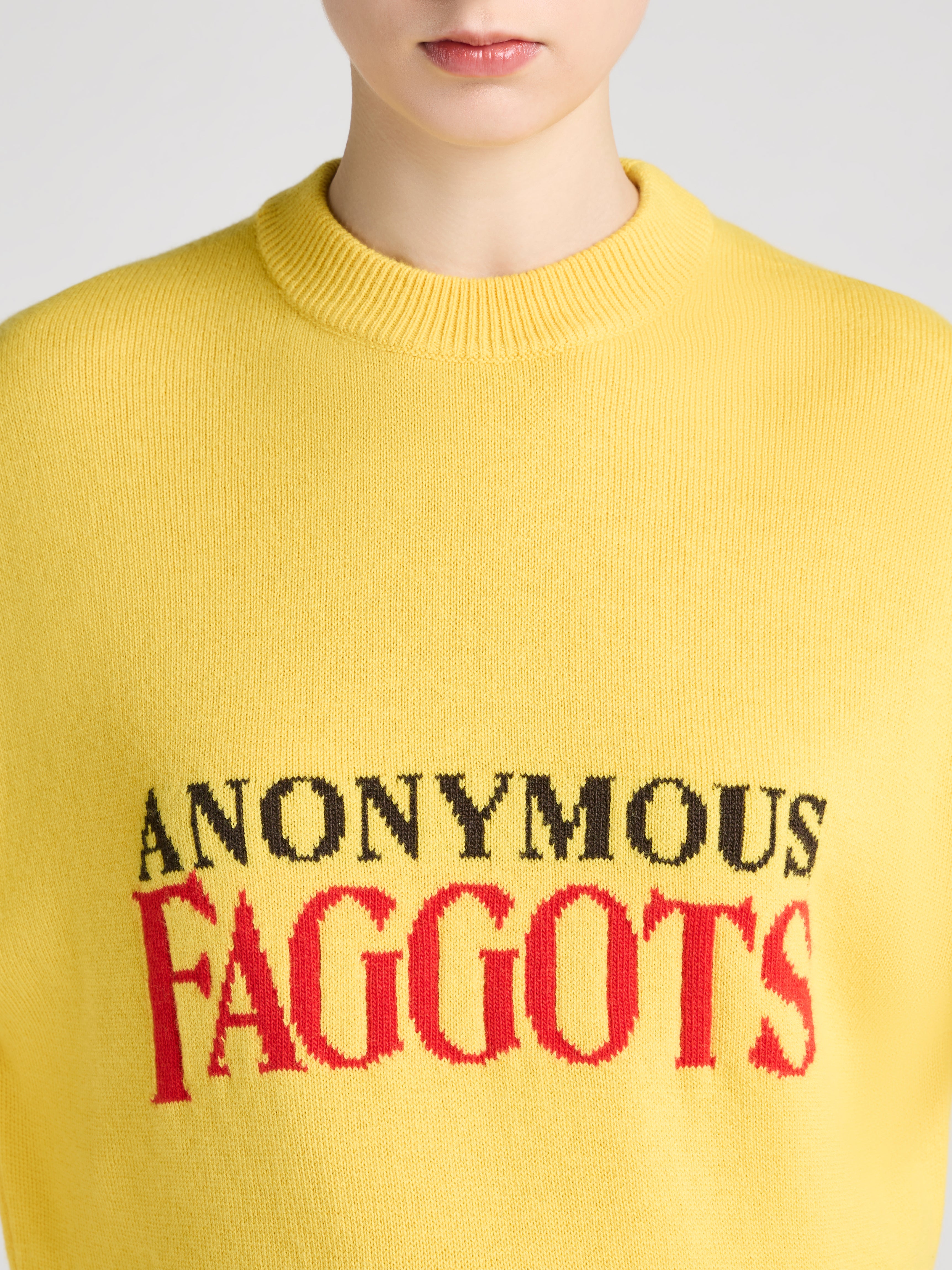 J.W.Anderson Knitwear Anonymous Faggots Jumper Damen Gelb Grafik