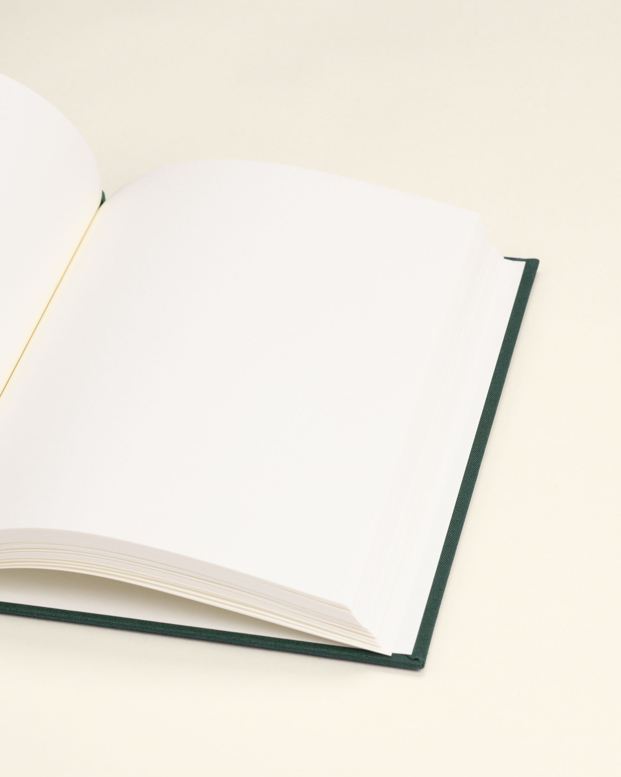 Drôle De Monsieur Le Carnet Drôle Notizbuch Grün A5