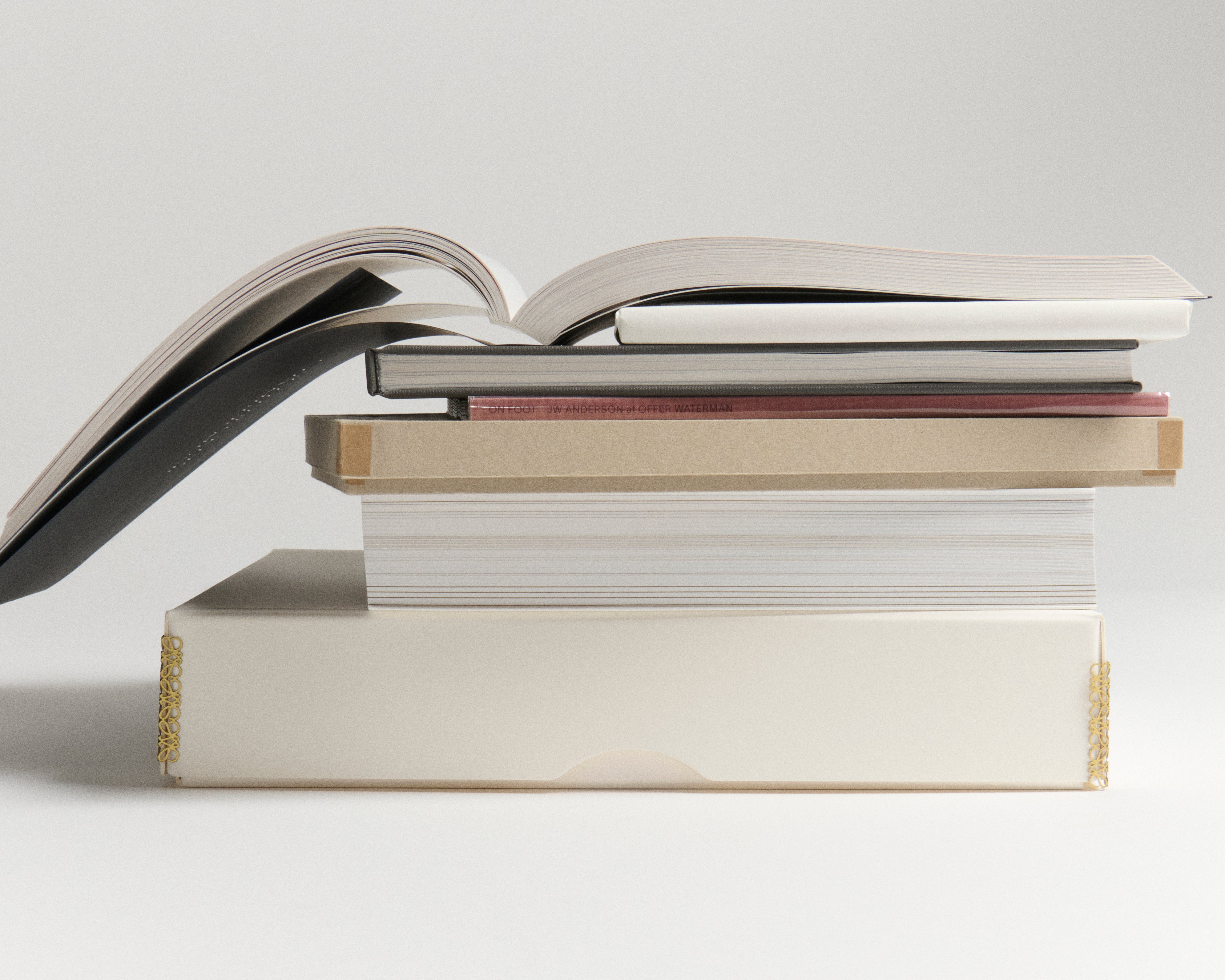 J.W.Anderson Books Sanya Kantarovsky Faces Buch