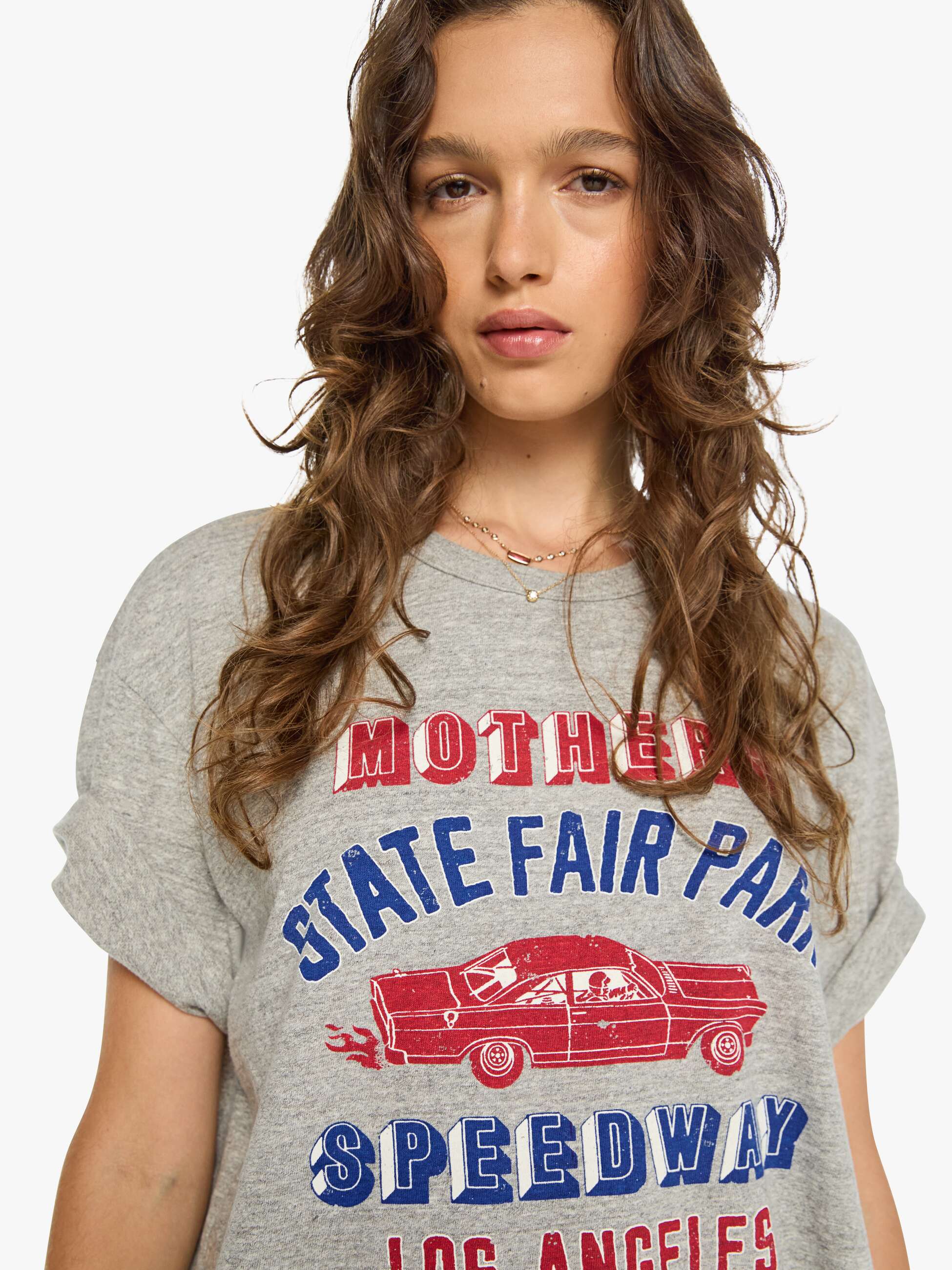 Mother The Lowdown T-Shirt State Fair Park grau mit Print