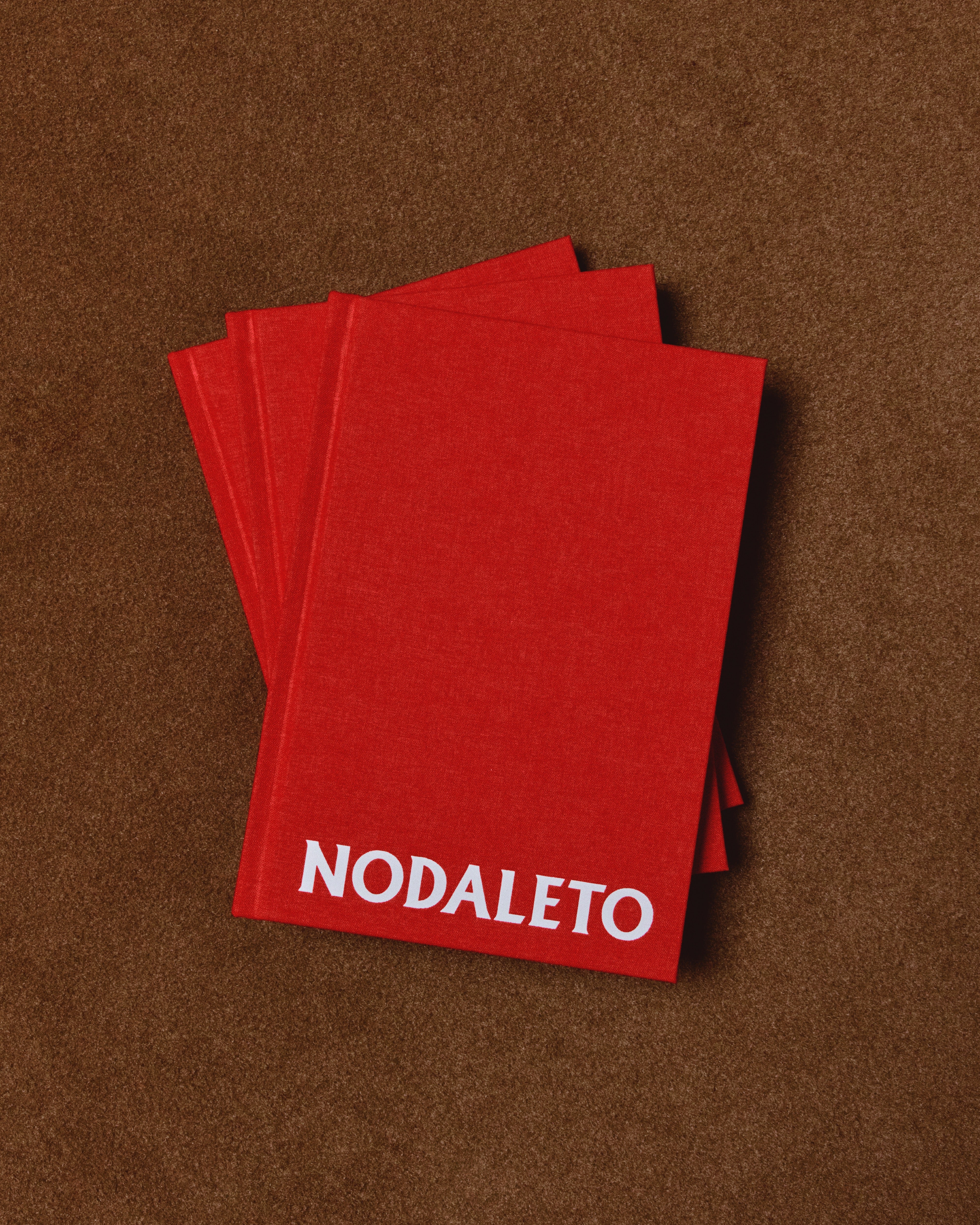 Nodaleto Nodabook 100 Images Buch Second Edition
