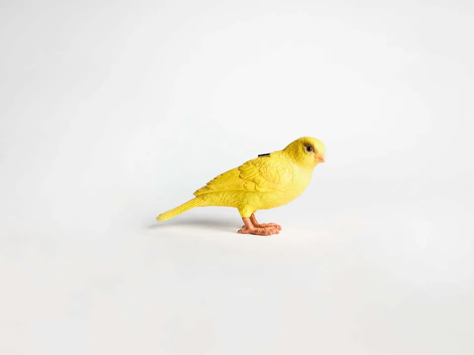 J.W.Anderson Canary Clutch Gelb Resin 3D