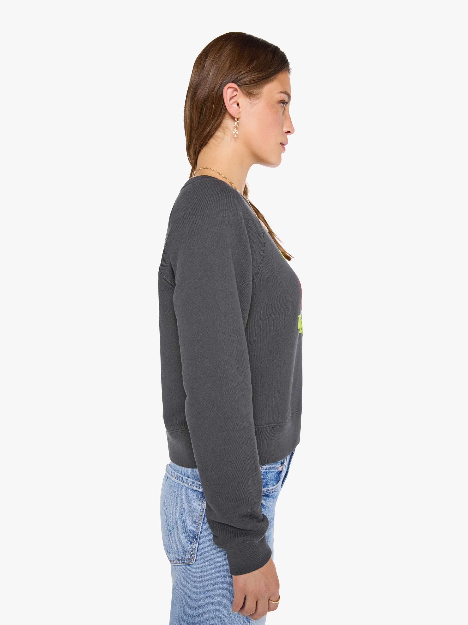 Mother The Itty Concert Sweatshirt Off The Record grau