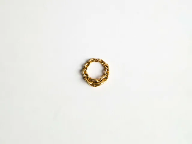 J.W.Anderson Fine Jewellery Chain-Link Ring Goldring Gelbgold
