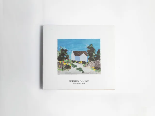J.W.Anderson Maureen Gallace Paintings on Paper Buch