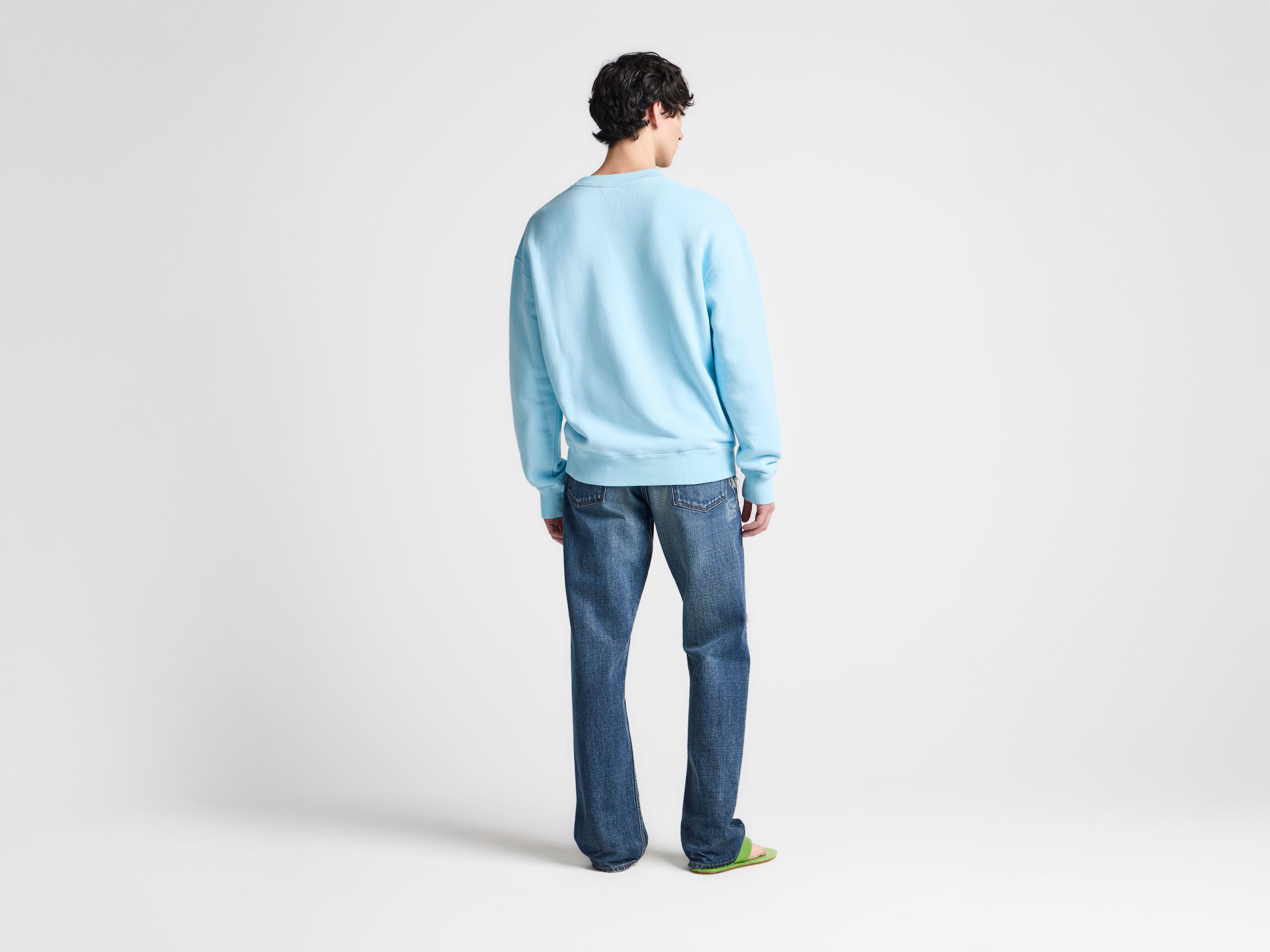 J.W.Anderson Painted Birds Sweatshirt Sky Blue Baumwolle