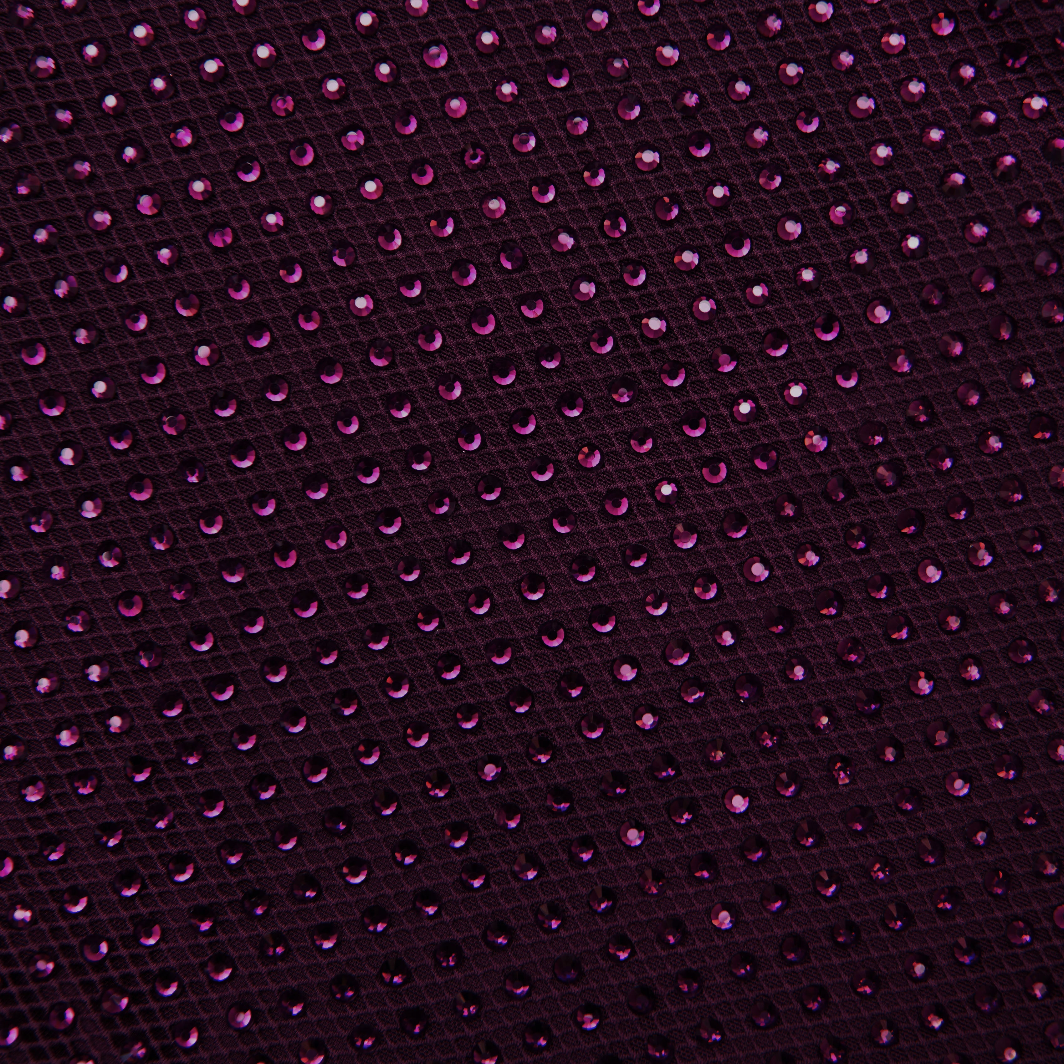 Self Portrait Strass Maxikleid Burgund Langarm Party