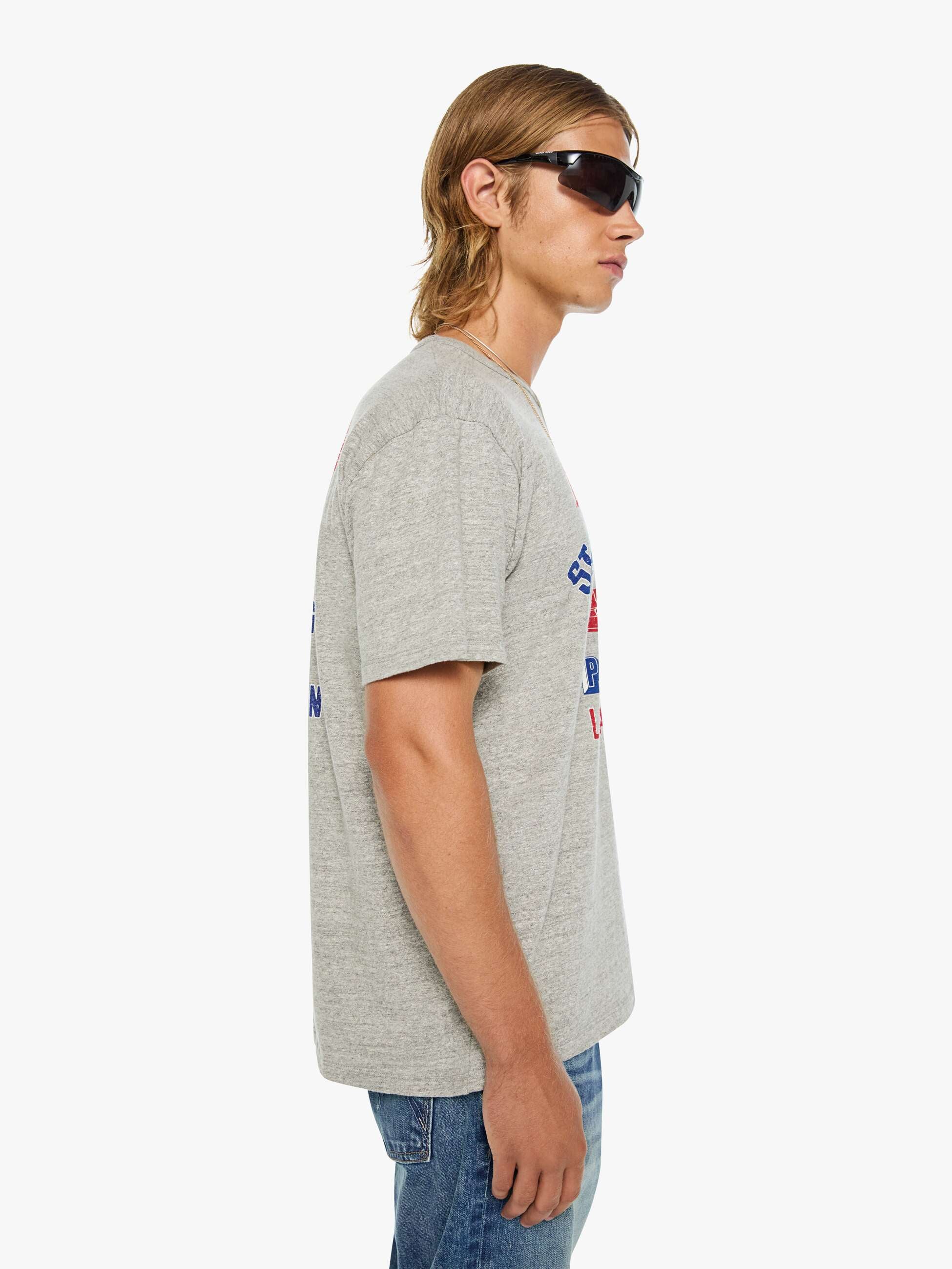 Mother The Lowdown T-Shirt State Fair Park grau mit Print