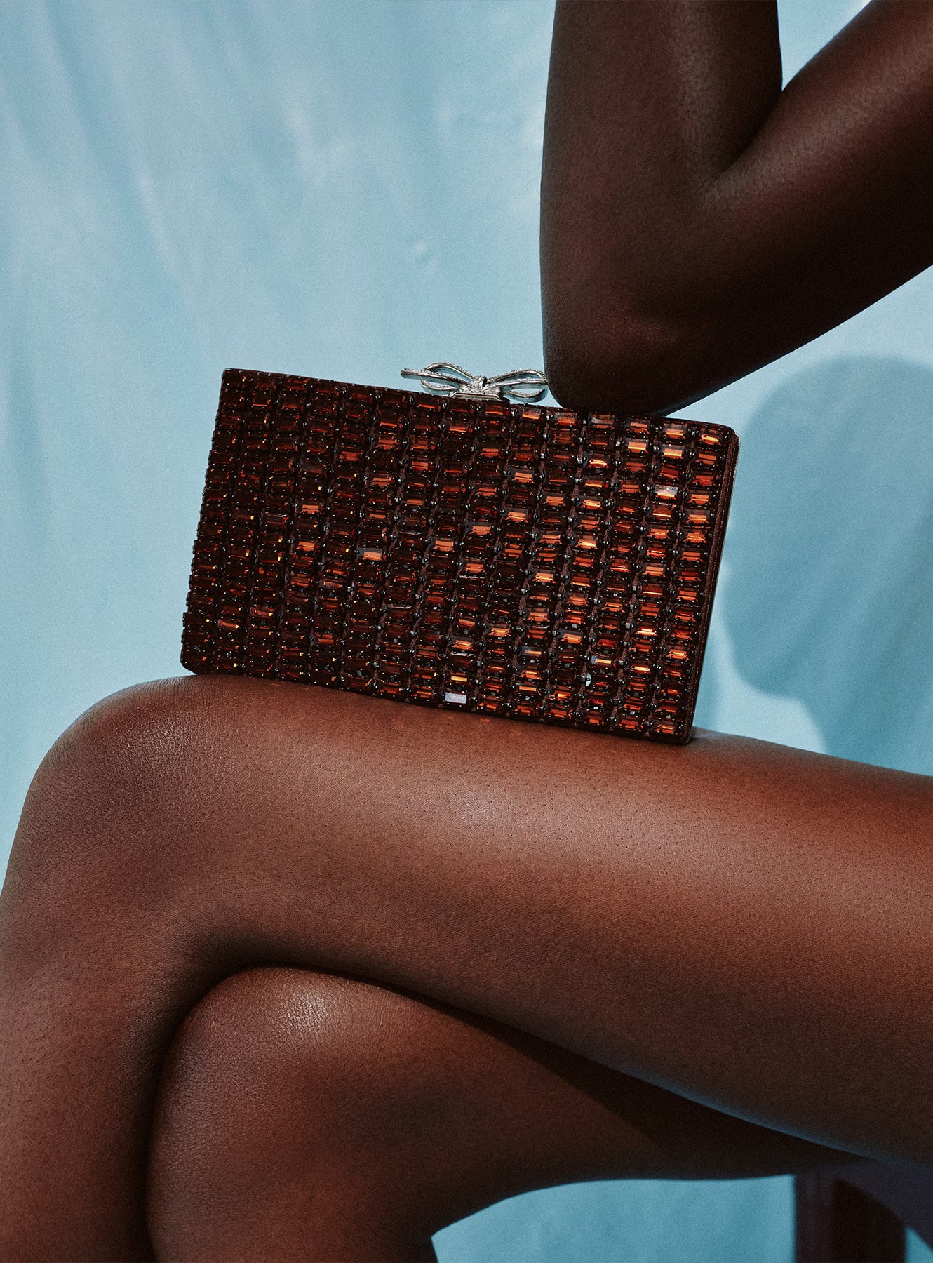 Self Portrait Brown Chainmail Clutch Clutch Braun Mini