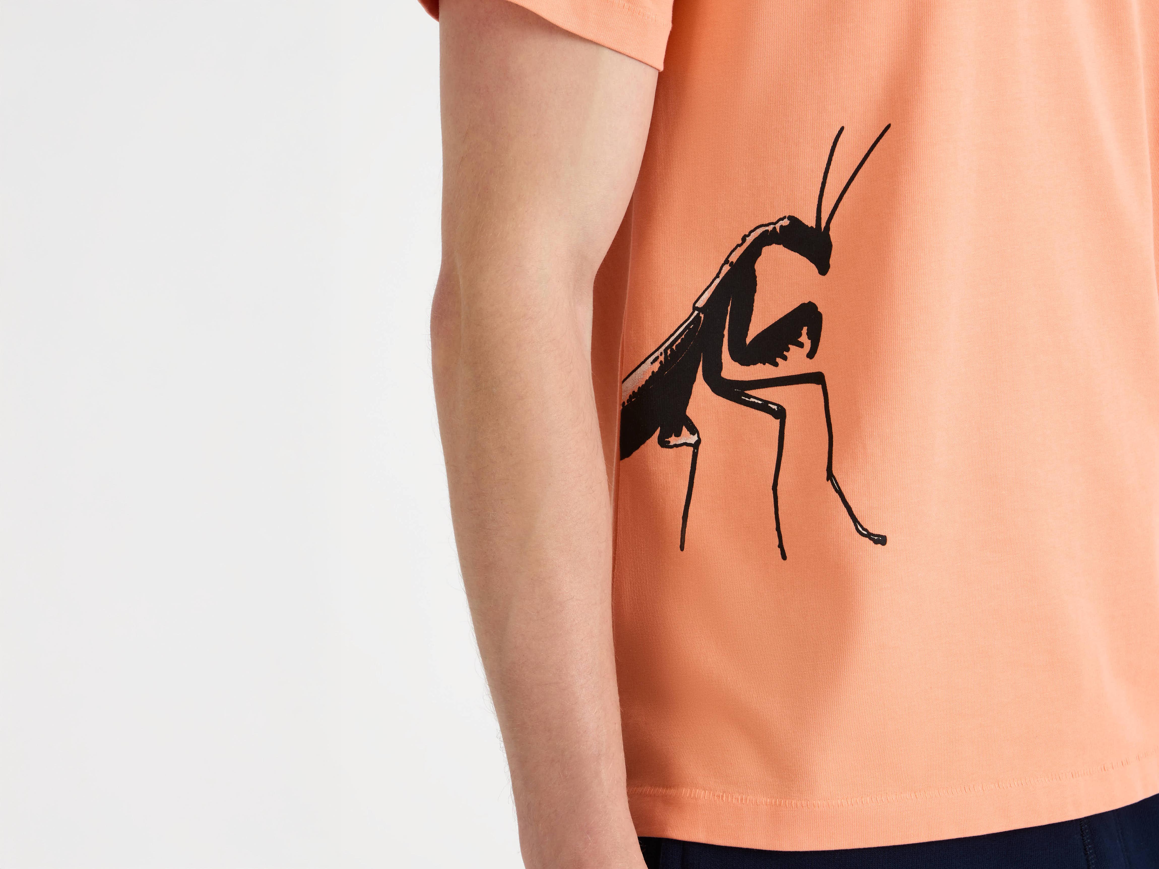 J.W. Anderson Praying Mantis T-Shirt Pfirsich Jersey Print