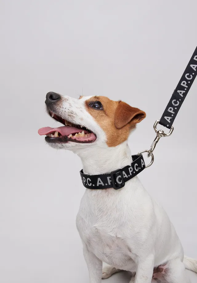 A.P.C. Toutou Logo Hundehalsband Schwarz T1 T2
